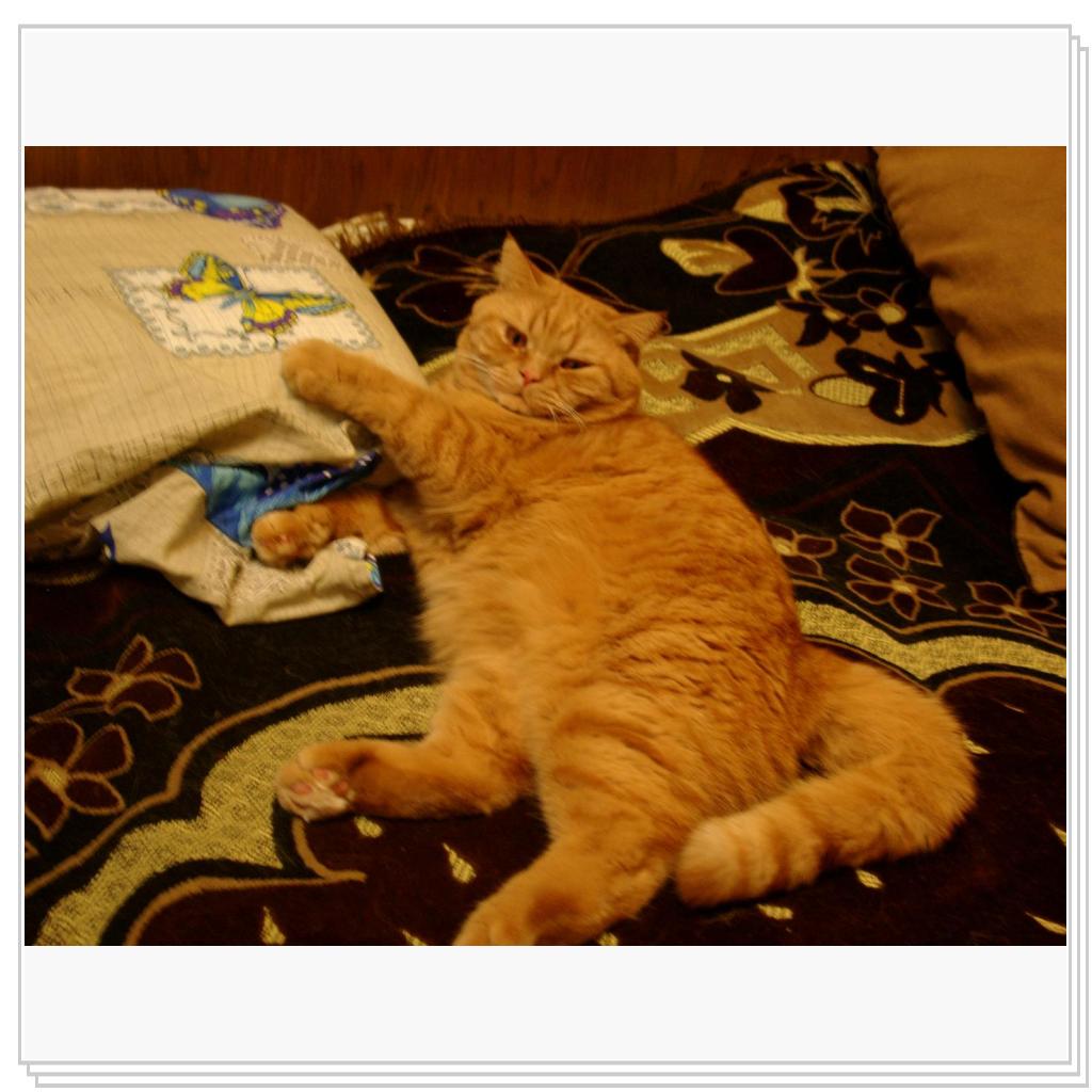 Ну чего уставились? Сплю я здесь..