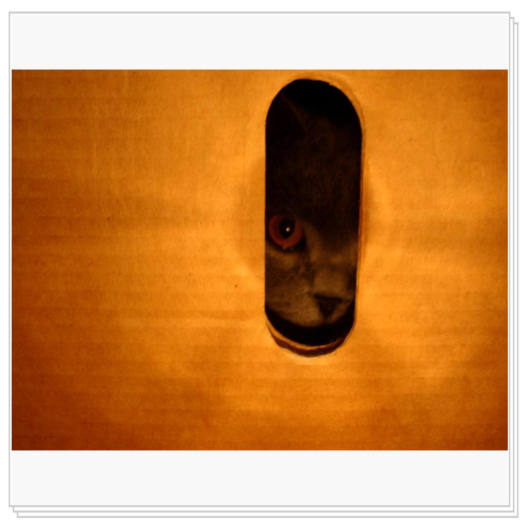 Секретный агент