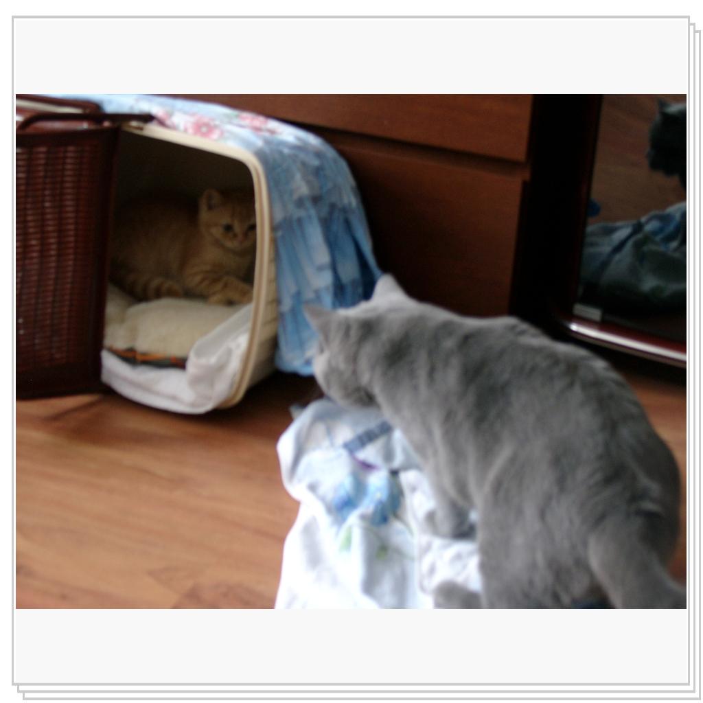 Знакомство (had only just met)