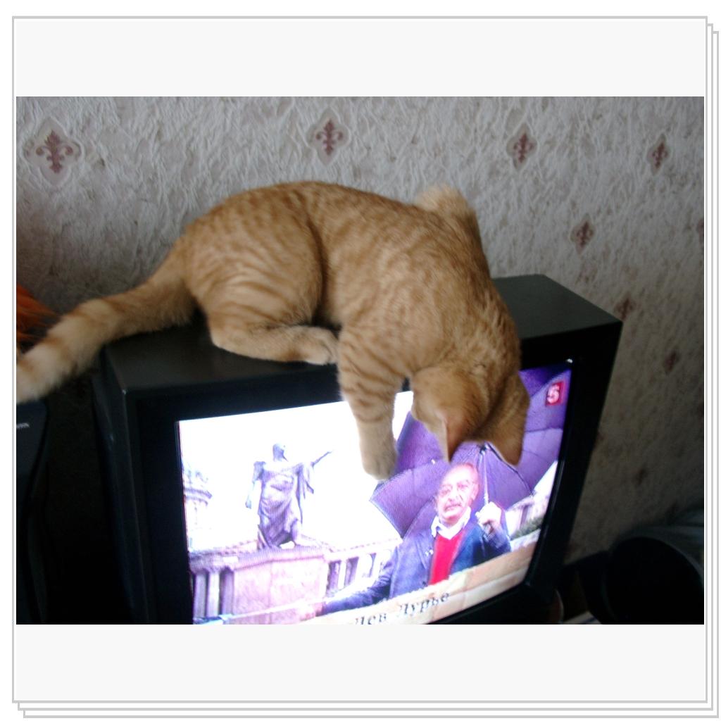 смотрим телевизор (watch TV)