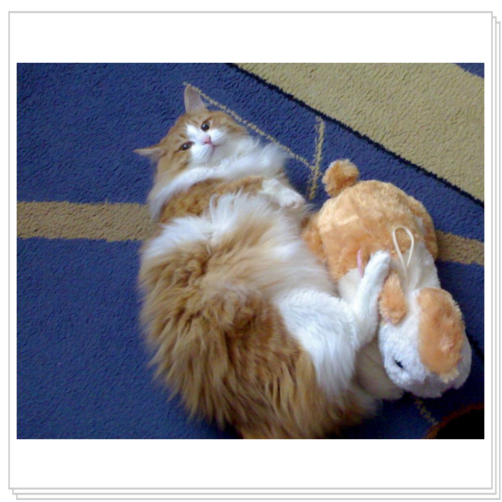 Мой котэ Вэлиодонс