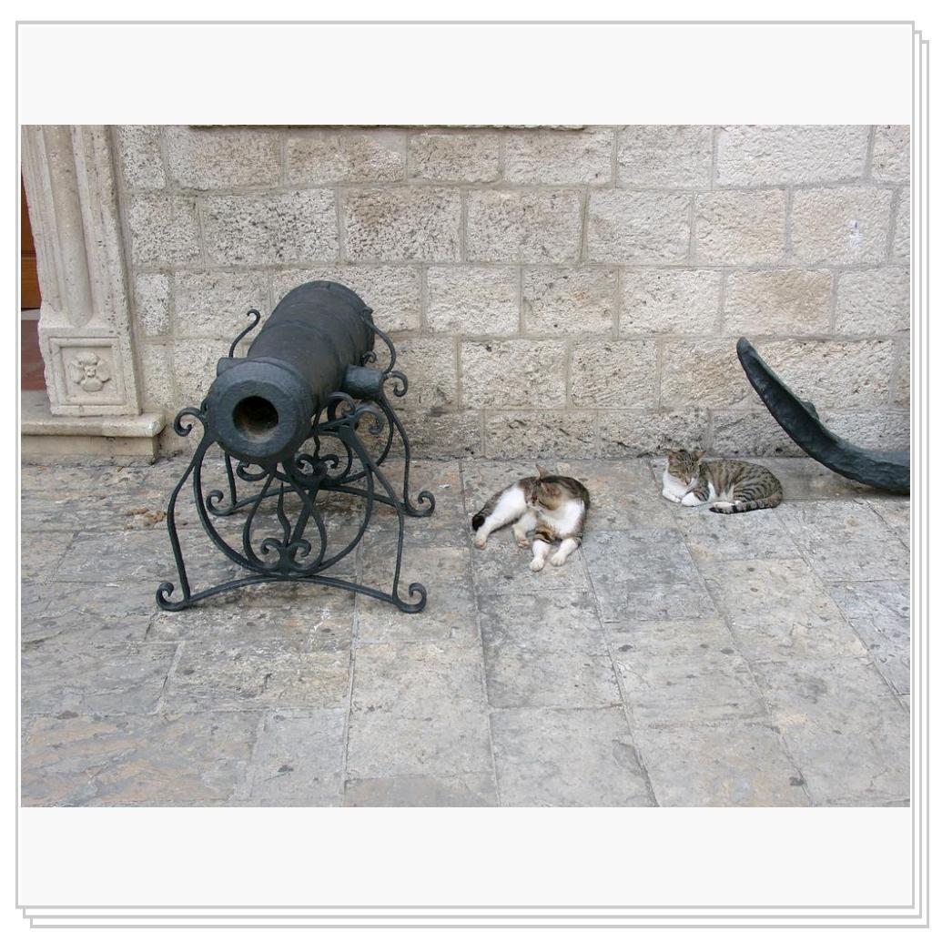 Котор. Старый город. Просто музейный экспонат, а не кошки))