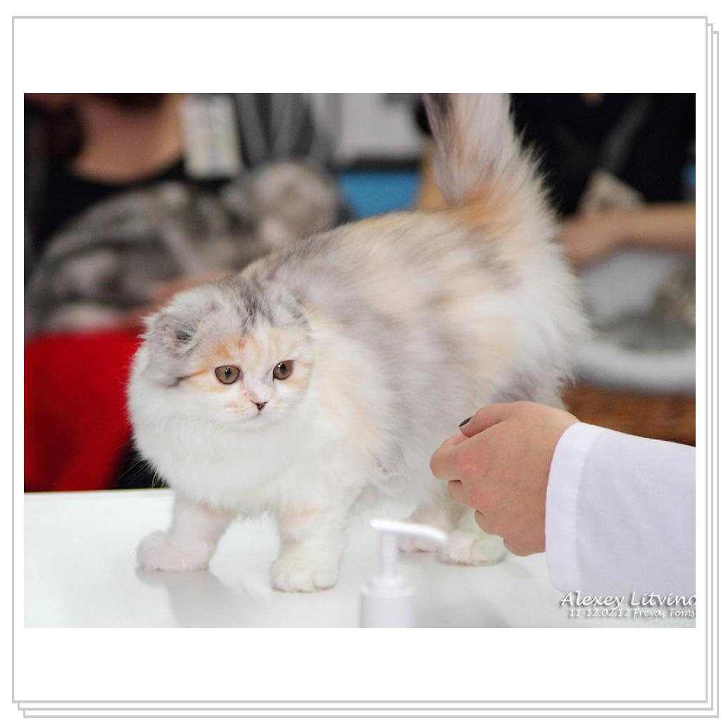 Питомник MIRANIS!