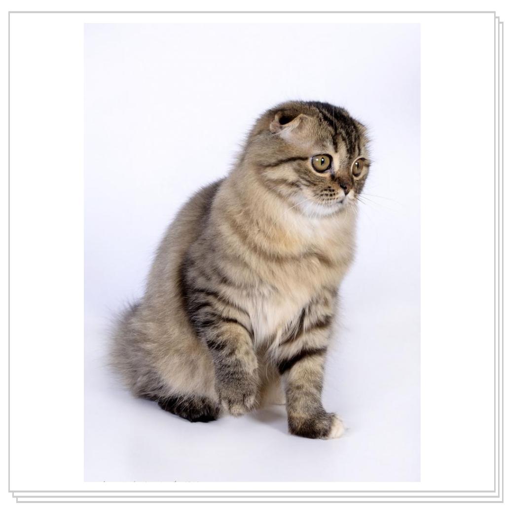 Emerald Izabella of Miranis