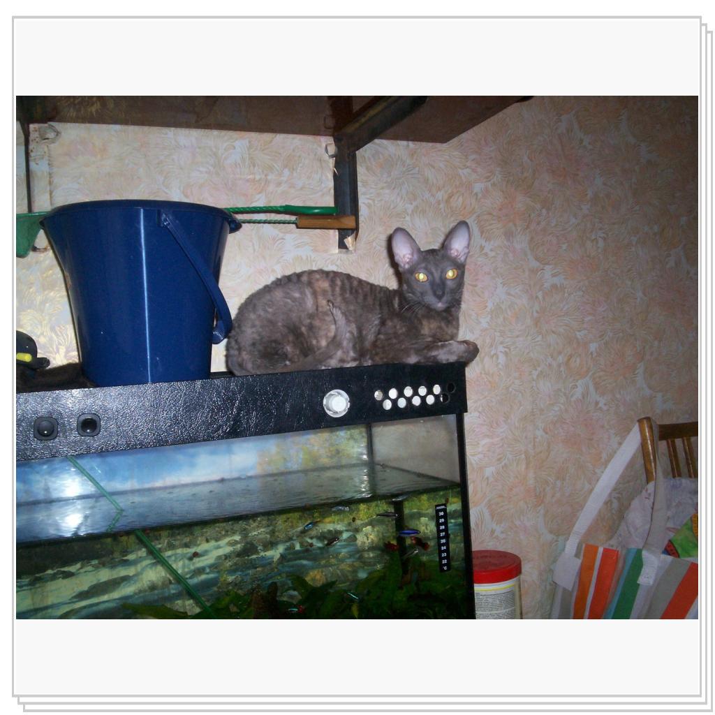 Охраняю рыбное хозяйство!