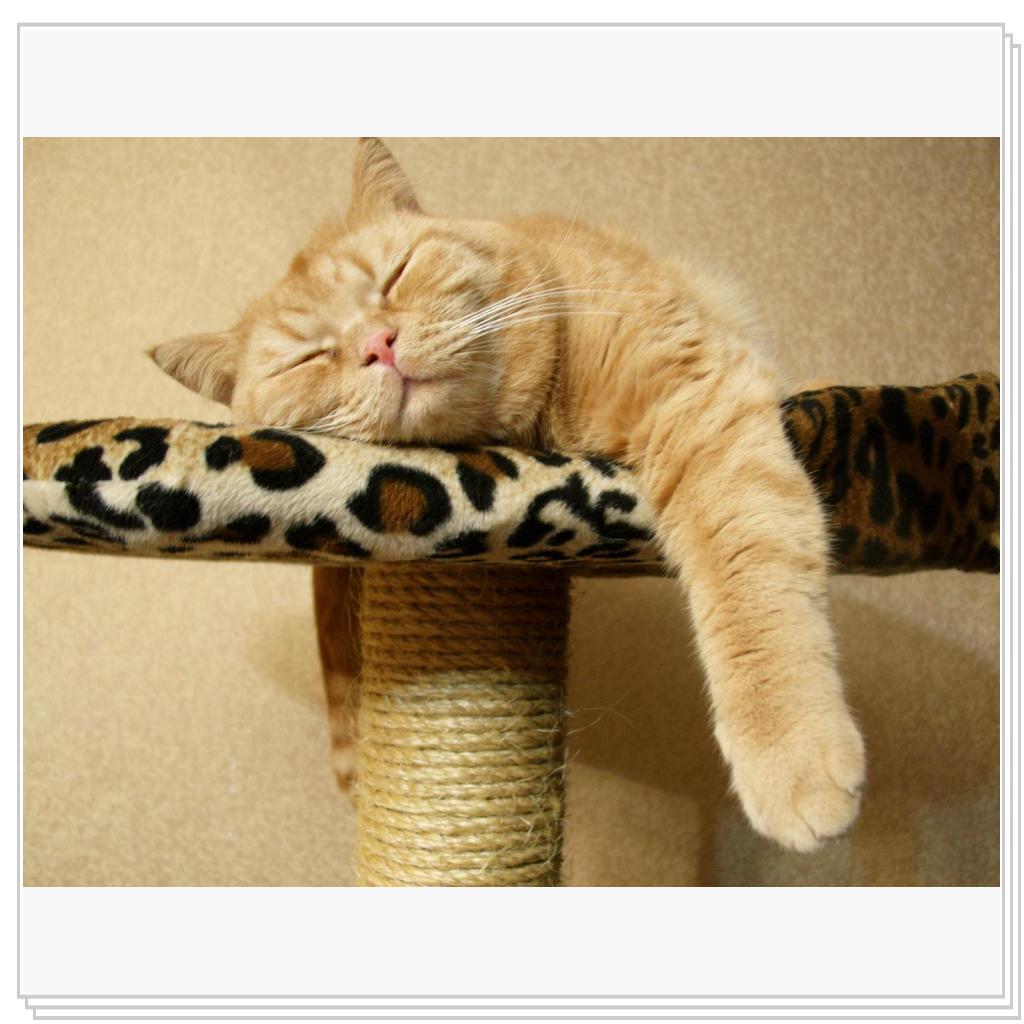 спокойный сон полезен для здоровья))