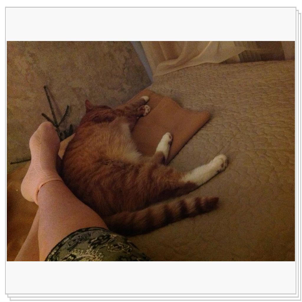 Ножки надо погреть у любимой хозяйки