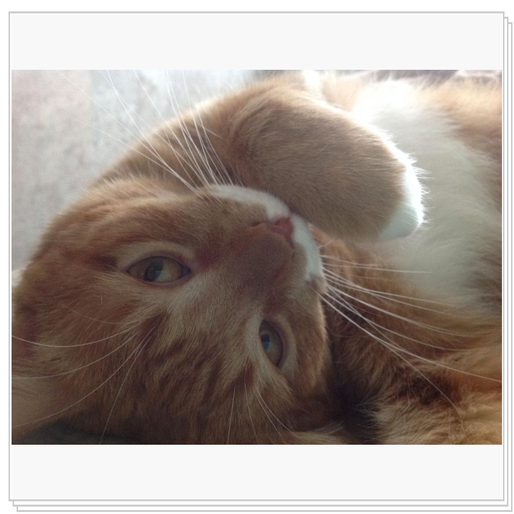 ну что, привет?