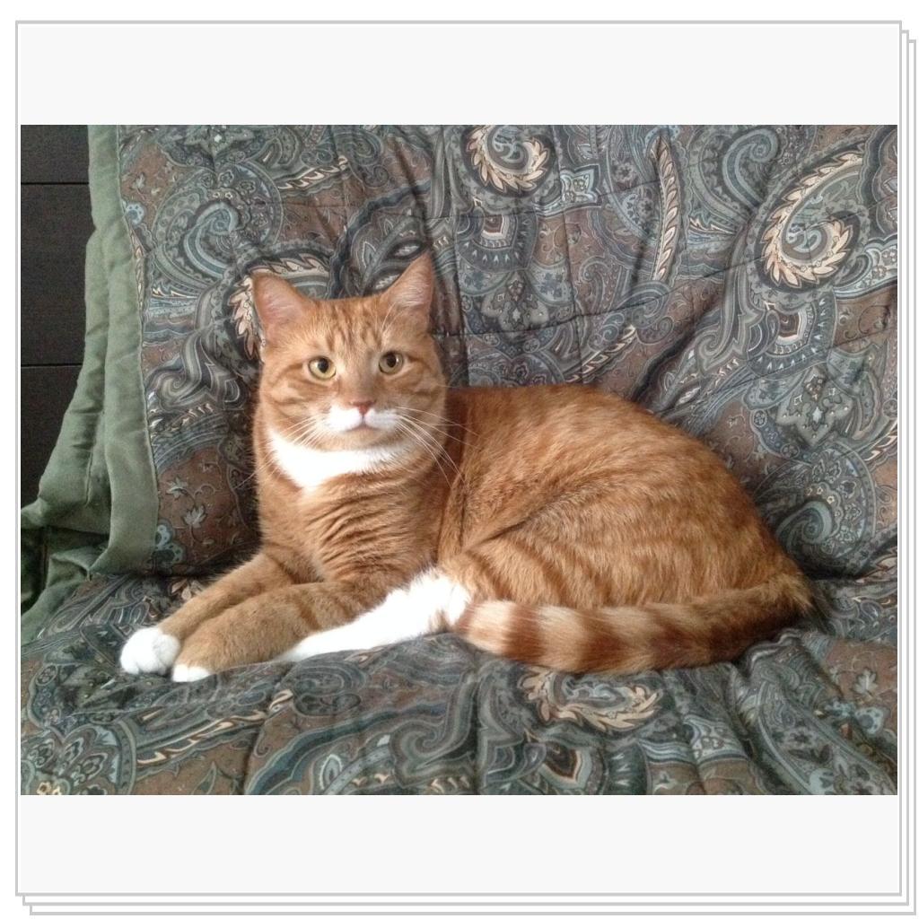 Прям хоть на выставку!