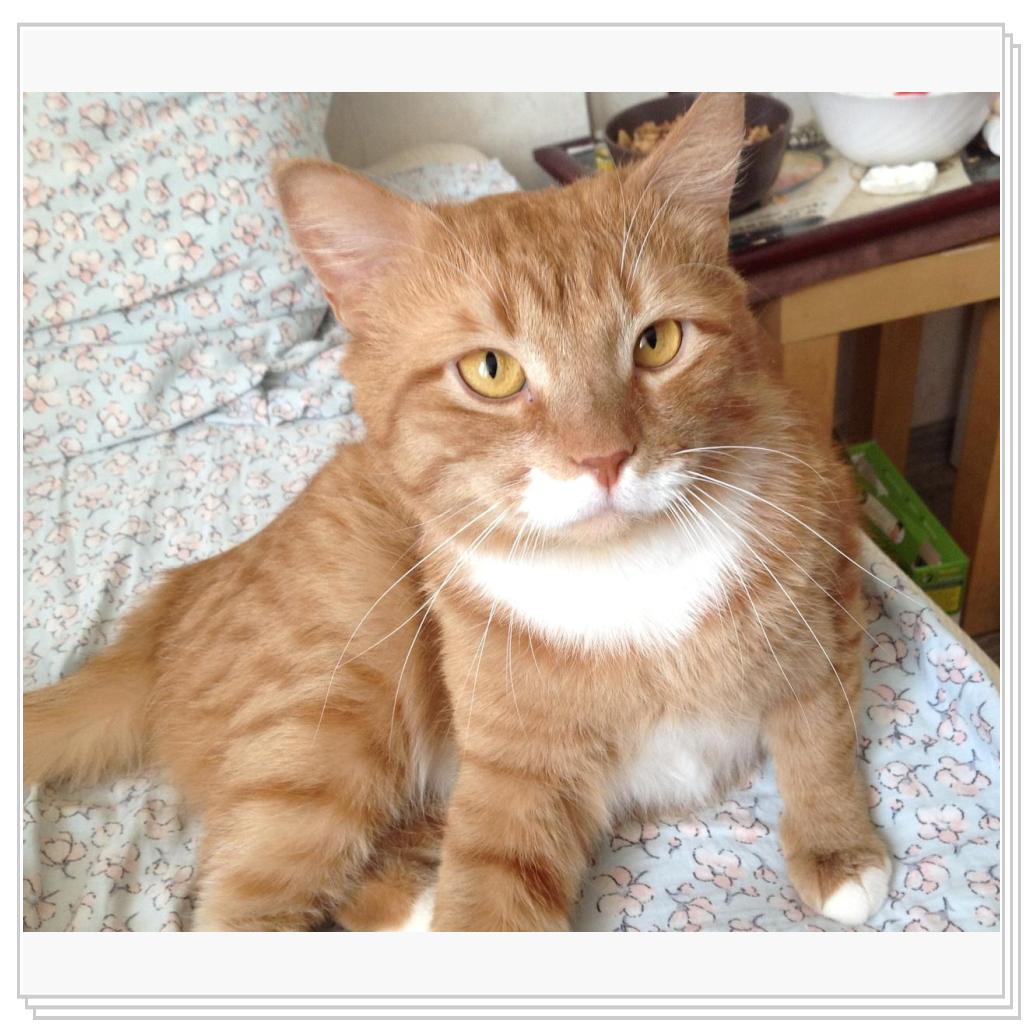 Опять снимают..