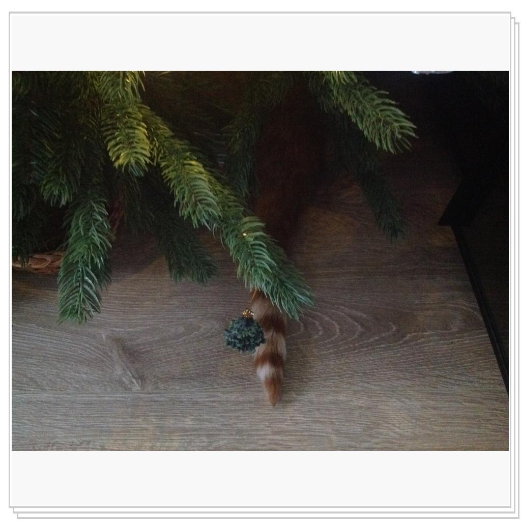 Хвост Рыжевского