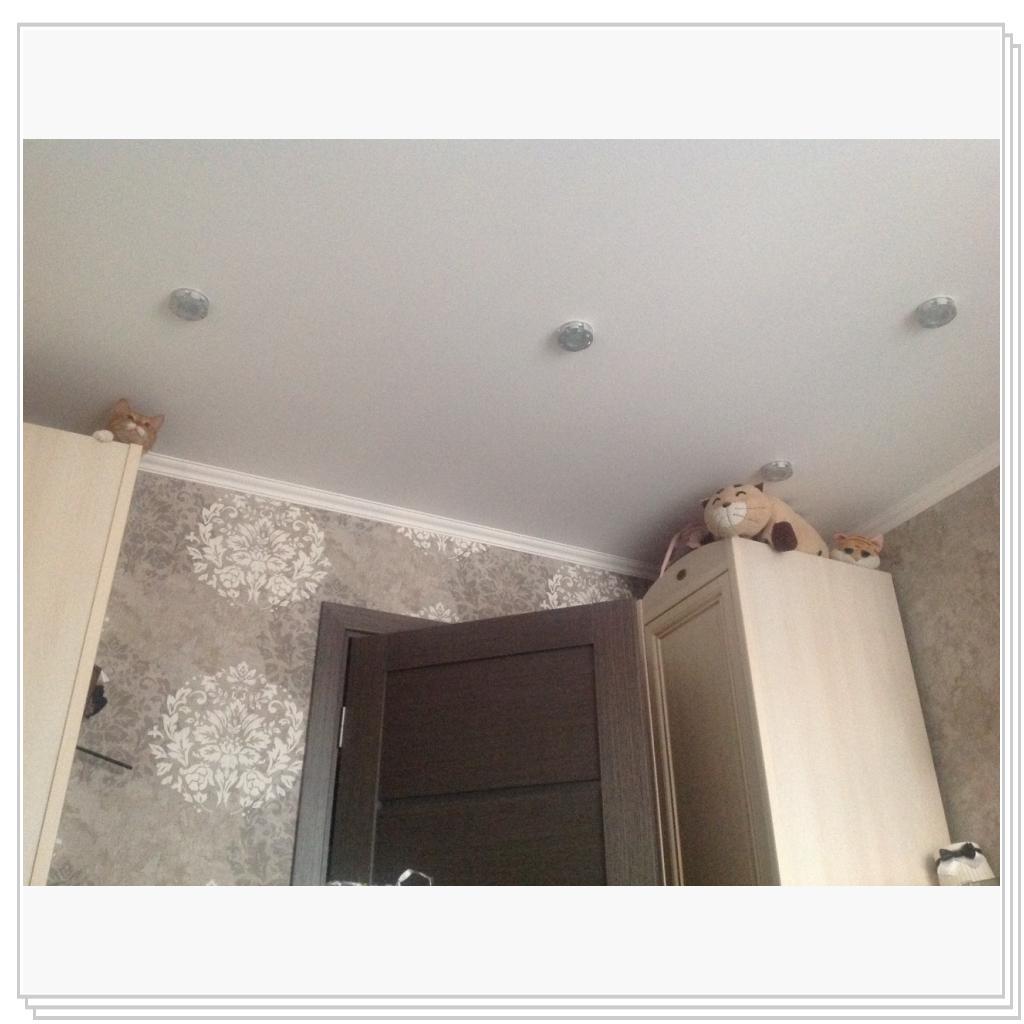 Везде коты)))