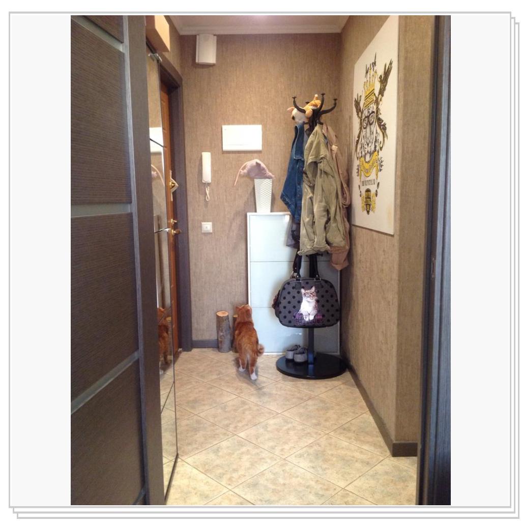 И что это там за грызун кверху хвостом? Надо проверить))