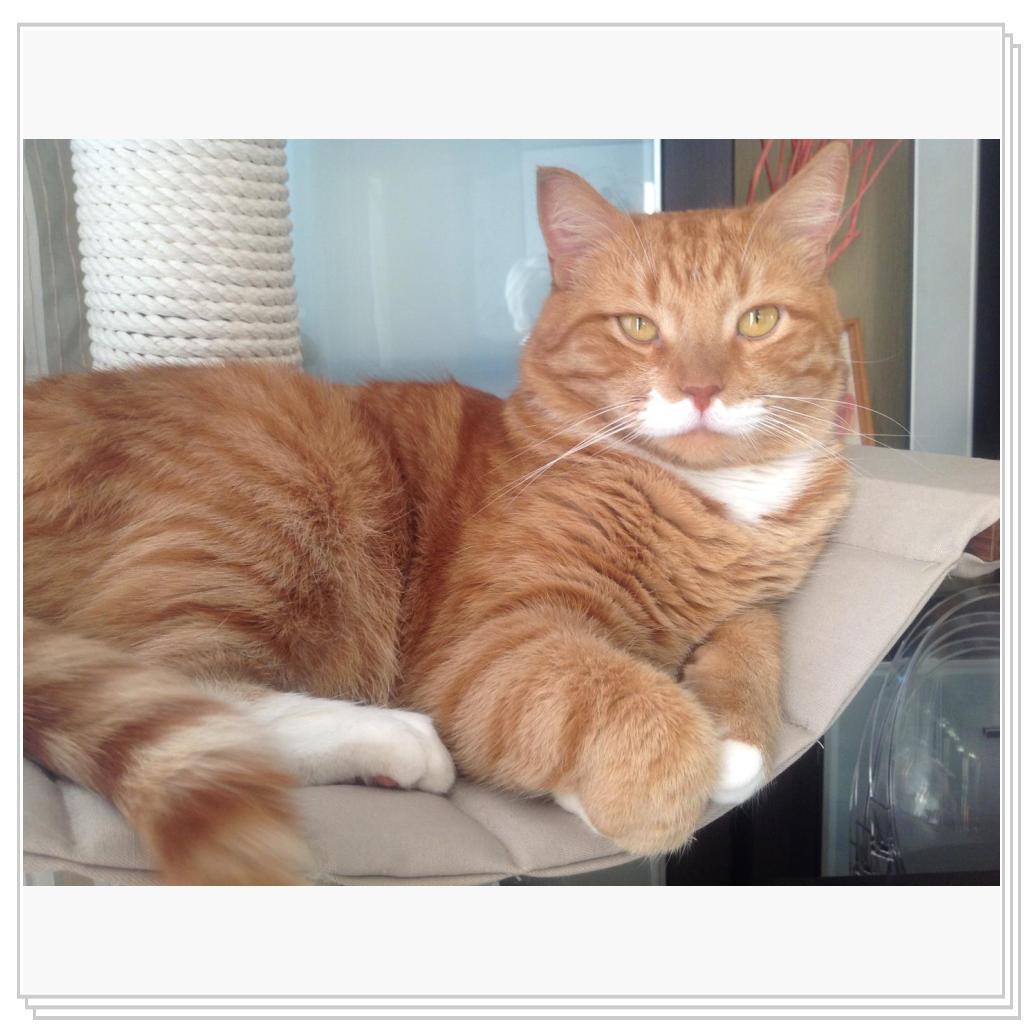 ну что, чай подавать будут?