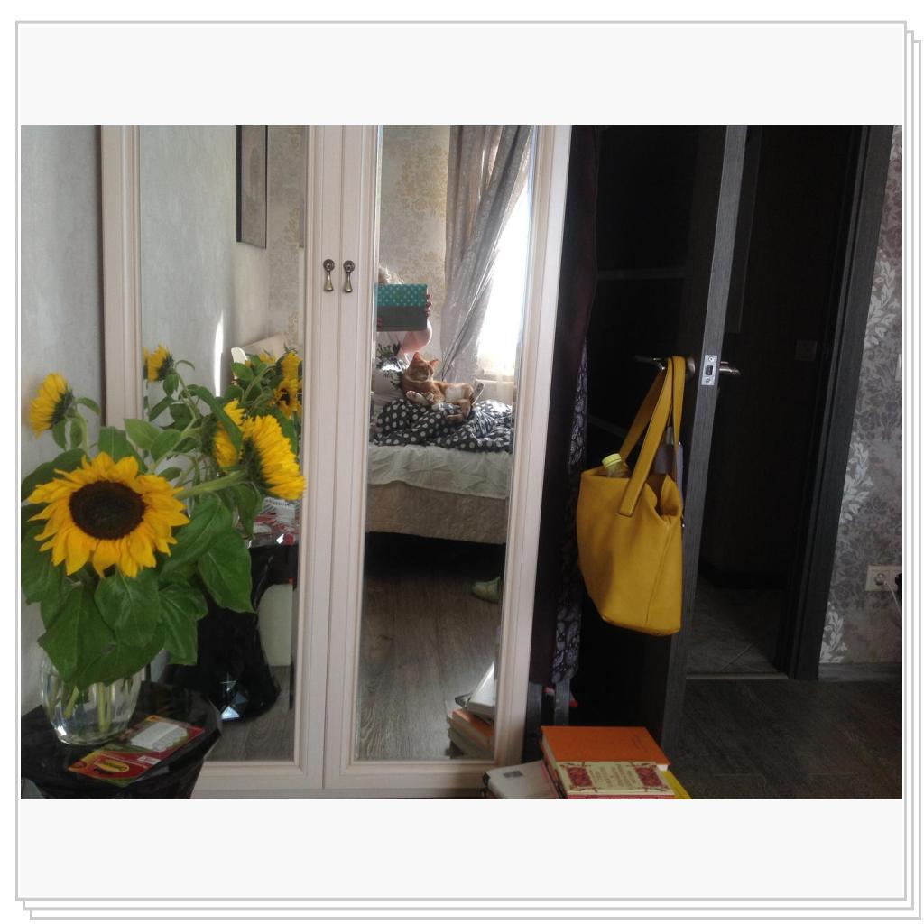 балдежничает