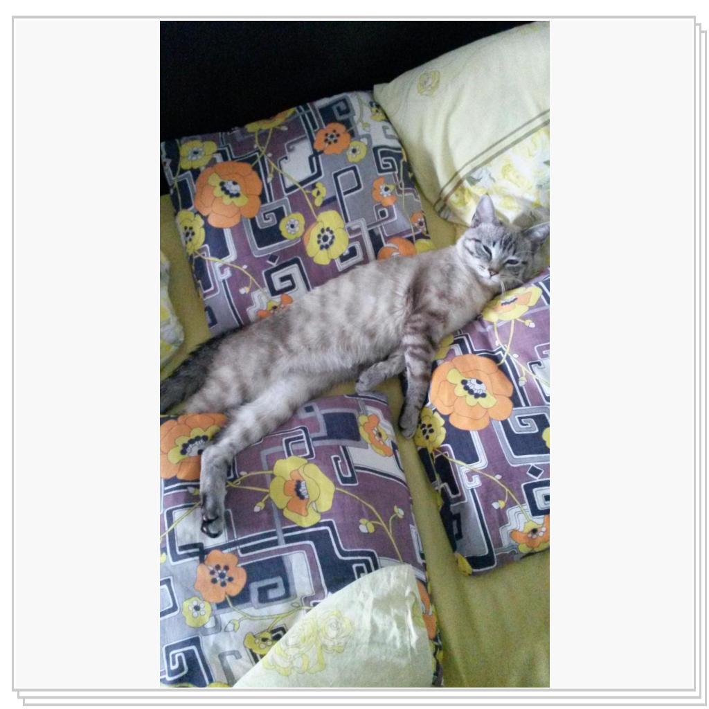 здоровый сон