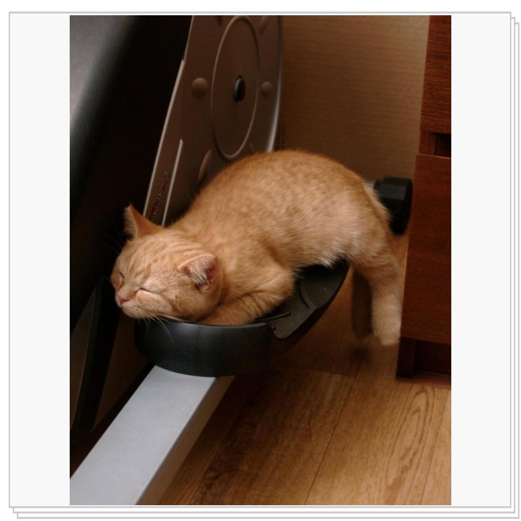 Позанимались на тренажере и спать.. (tired...)