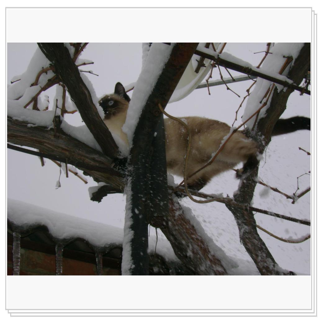 вот она-СВОБОДА