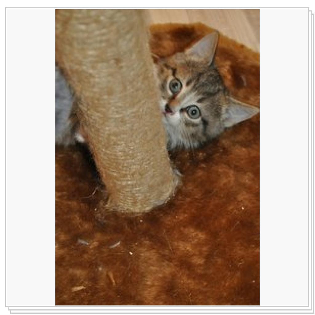 От меня не спрячешся найду