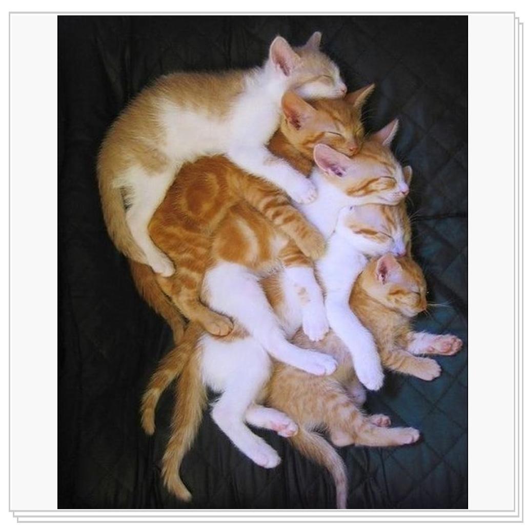 Вотето я понимаю семейство