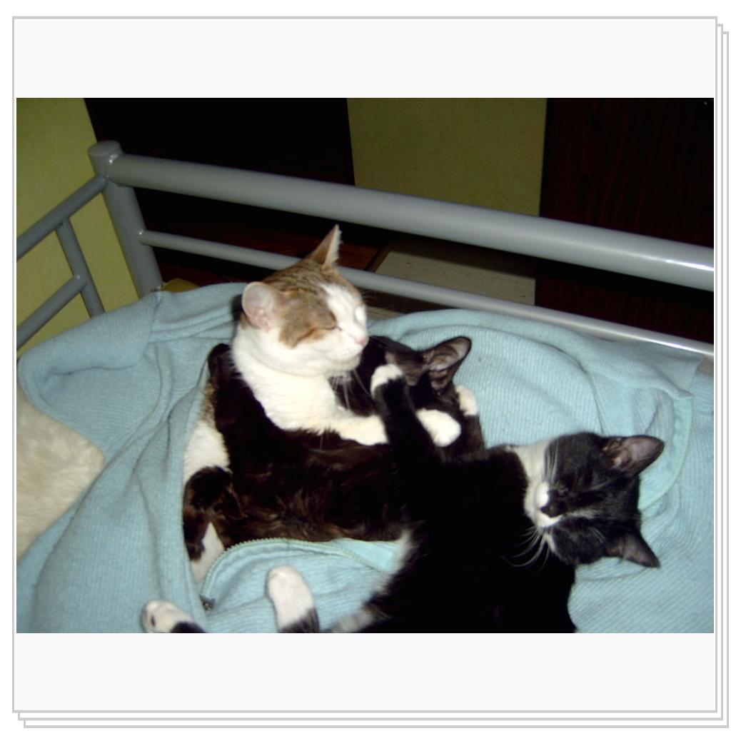 Дасе снится страшный сон.