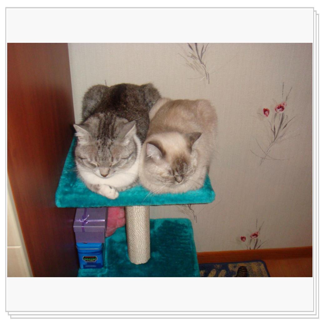 Не тесно нам, не ТЕСНО!