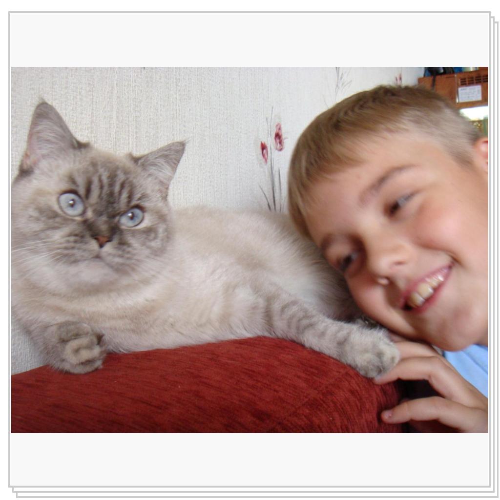 Опять эти кошачьи нежности)))