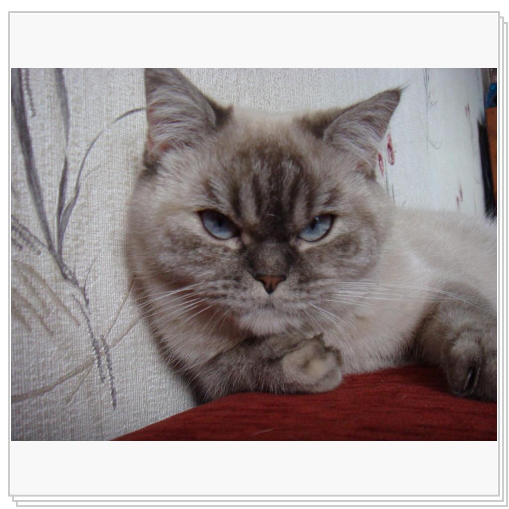 А здесь я серьезная