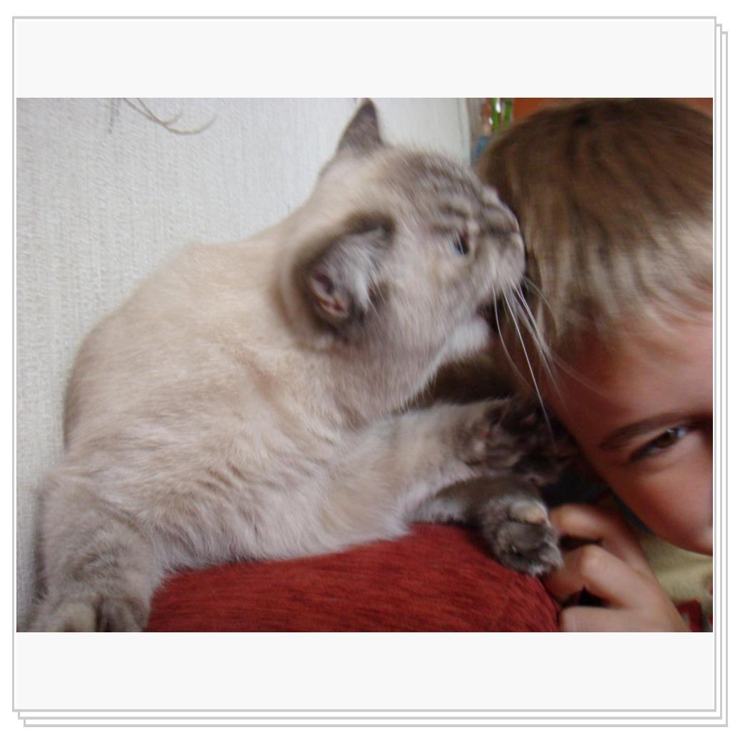 Будешь приставать-ухо откушу!