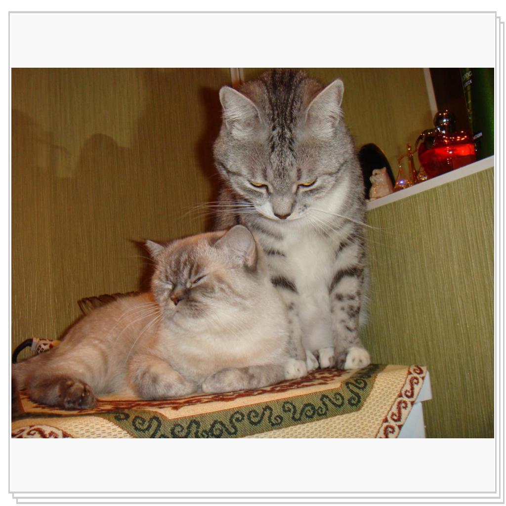 Влюбленная парочка