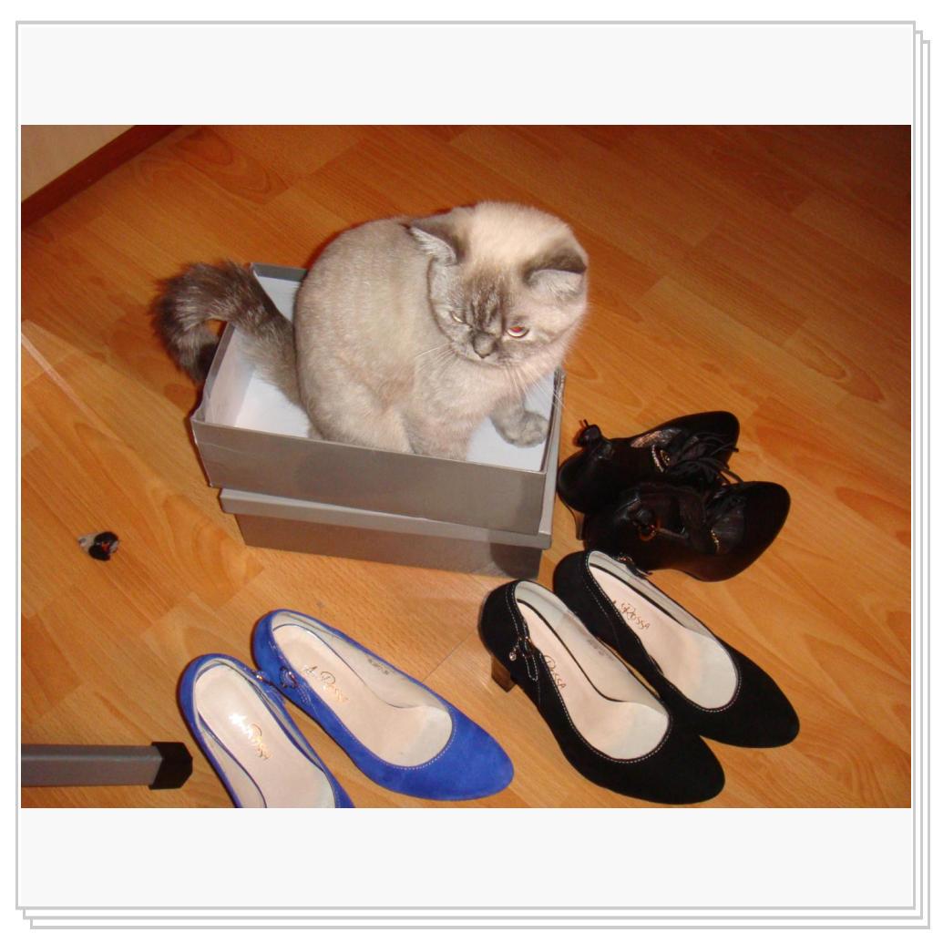 Ну совсем нечего надеть!