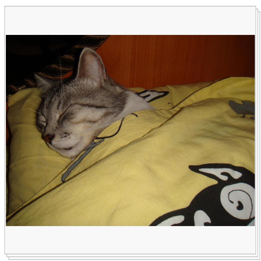 Личная постель Лео