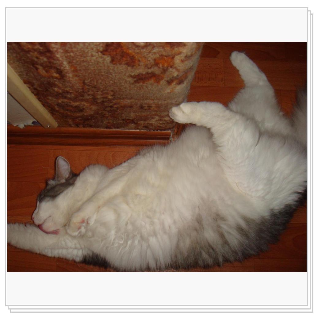 Хороша жизнь у Степы