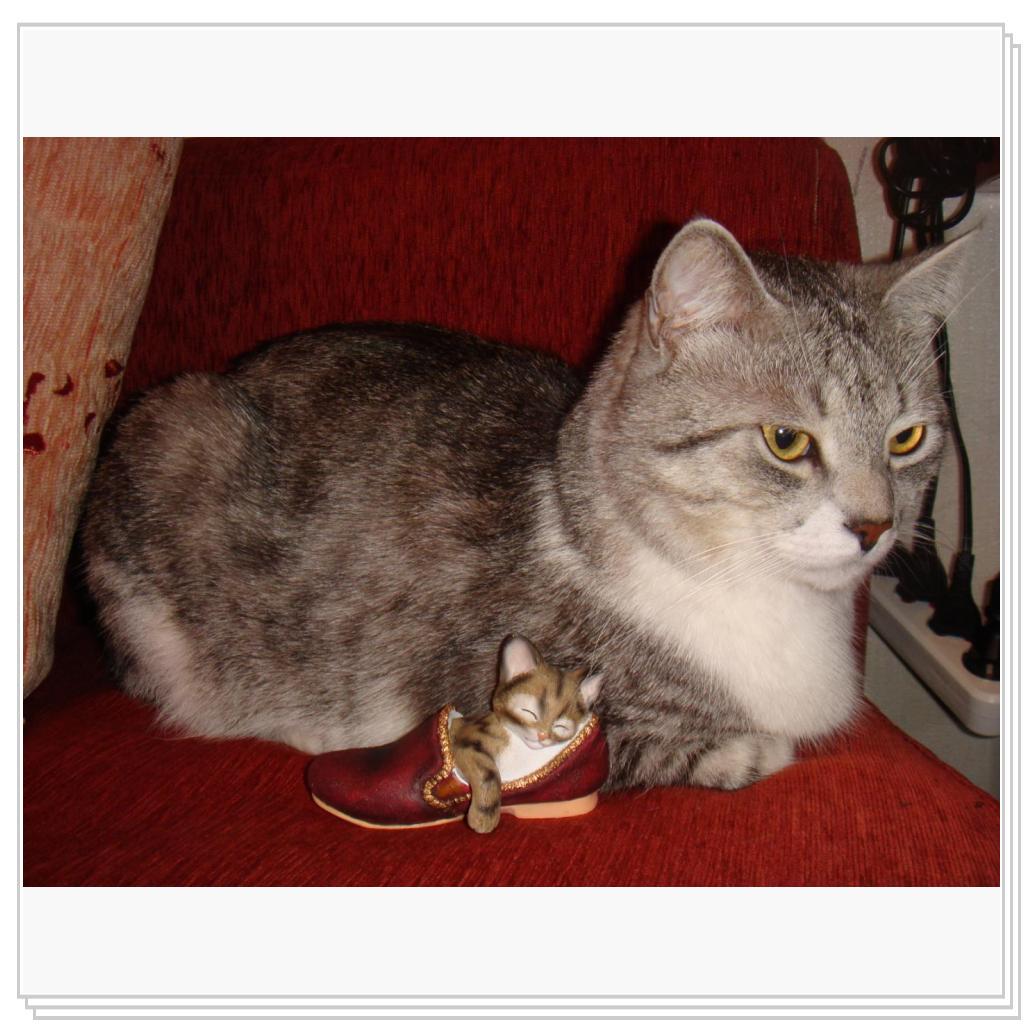 Мне бы живую подружку..