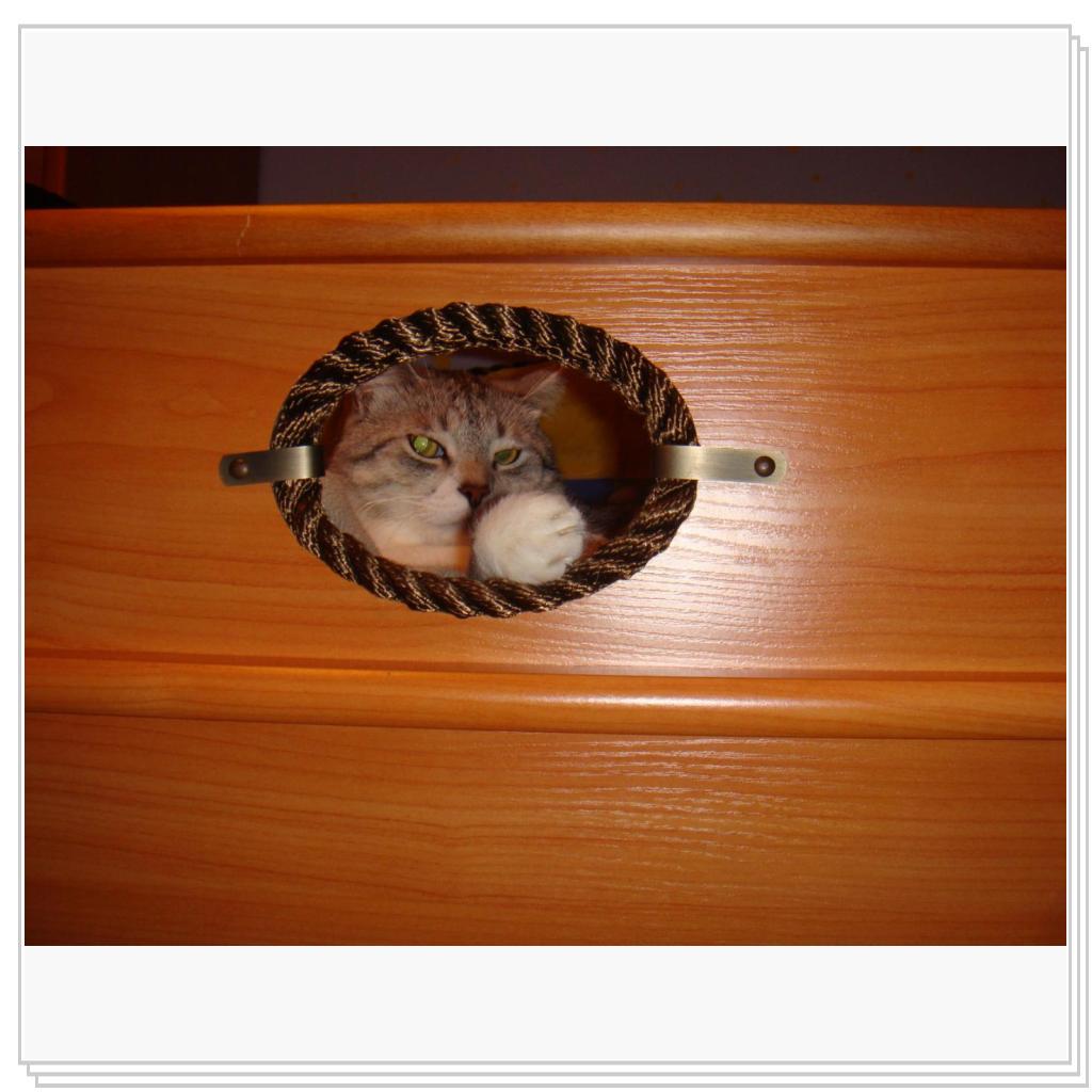 Меня никто не видит?