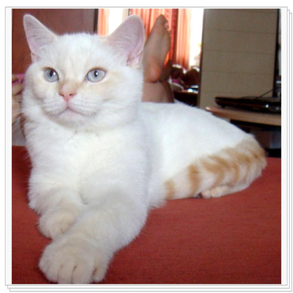 Фотомодель, не иначе))