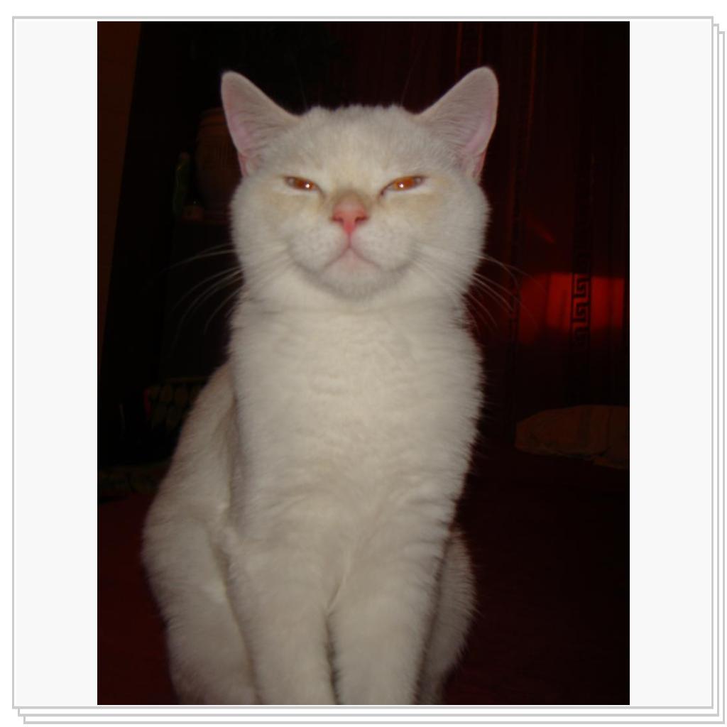 Беня глядит с прищуром