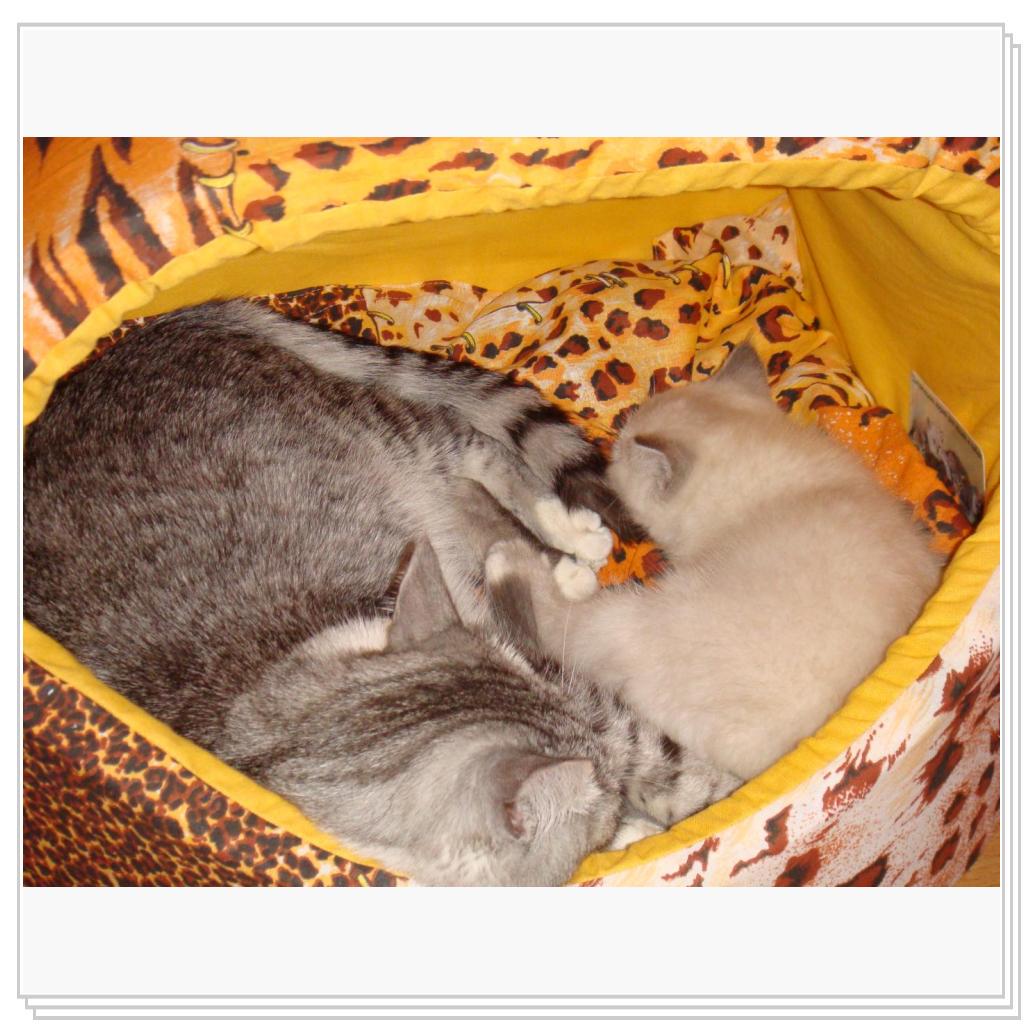 В тесноте, да не в обиде