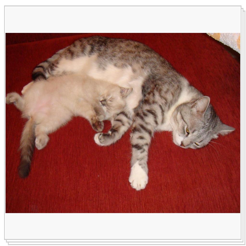 Вот так все начиналось)))