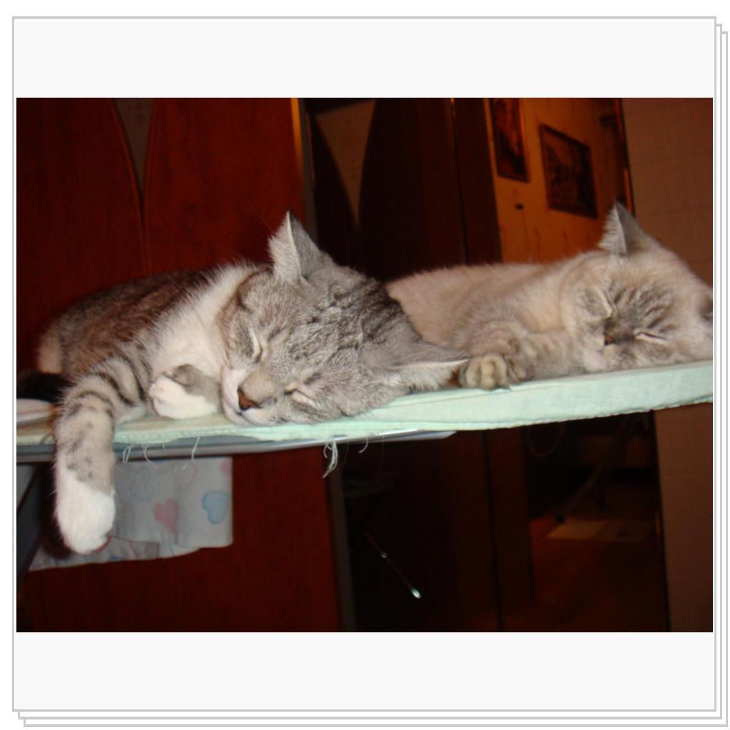 Мама, а нас гладить будешь?