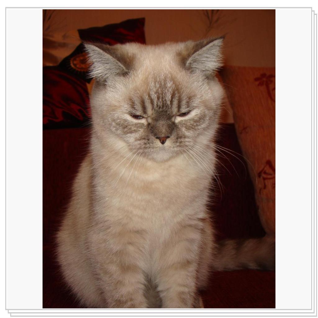 Спаааать хоца...