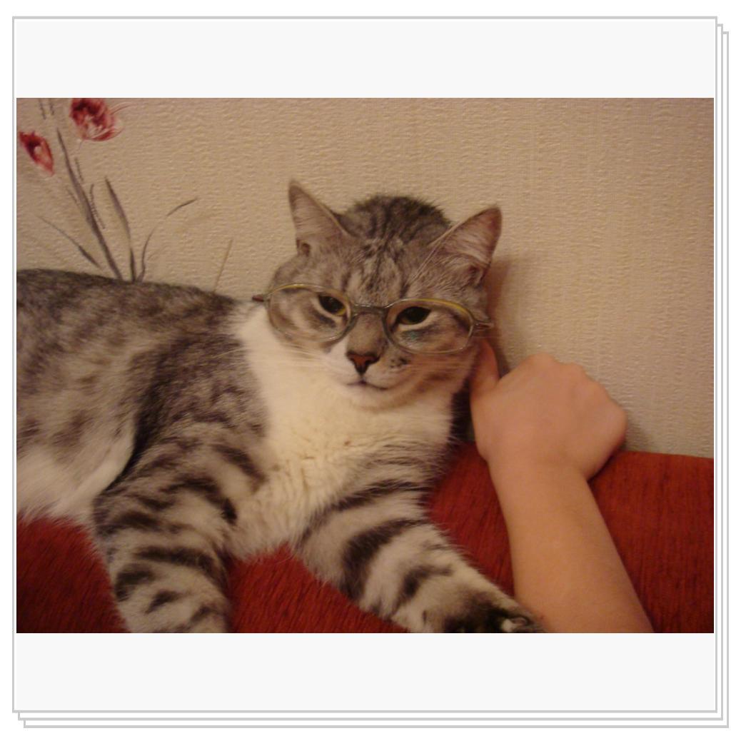 Ну-ка, ну-ка, нанотехнологии, говорите...