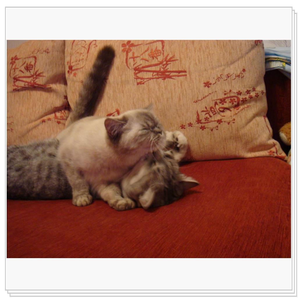 Маленькая Мотя и Лео