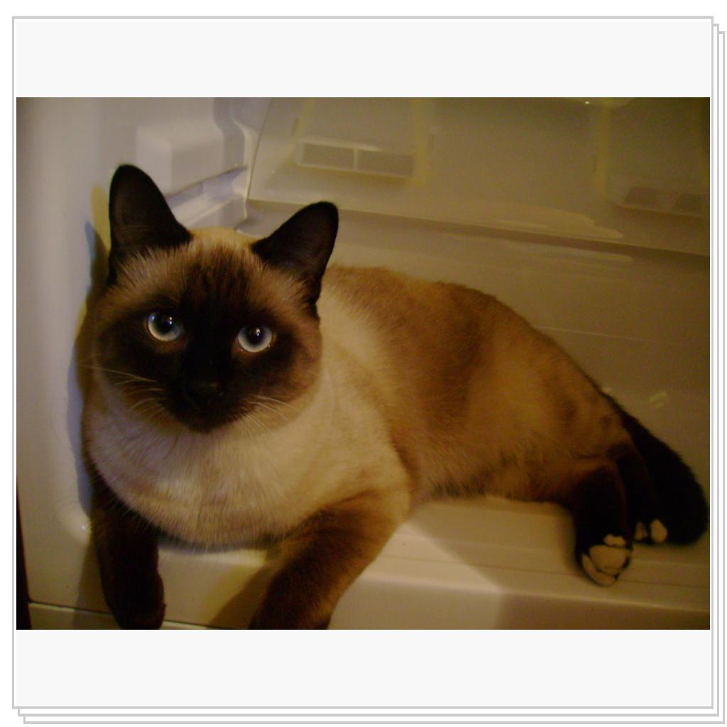 такие глазки не могут лгать  :)