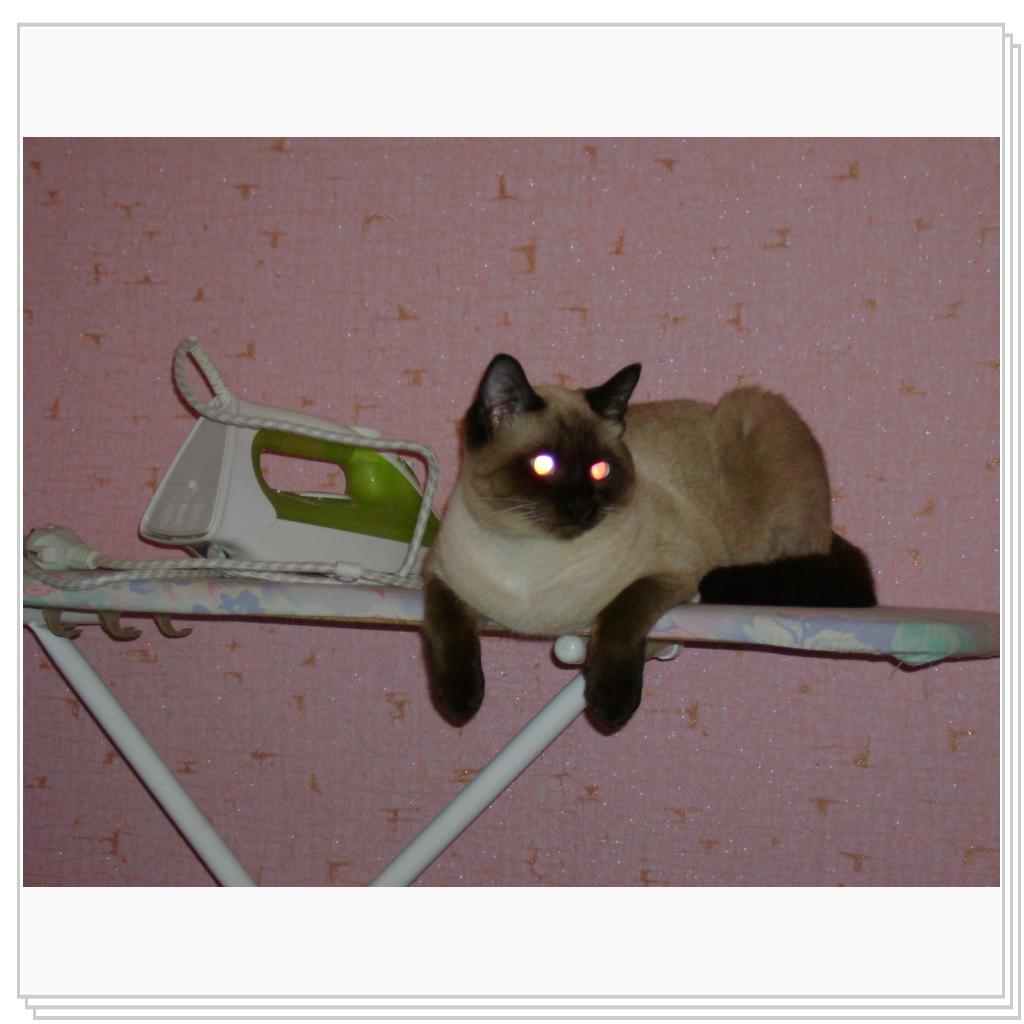 Ну,пожалуйста,погладьте меня!