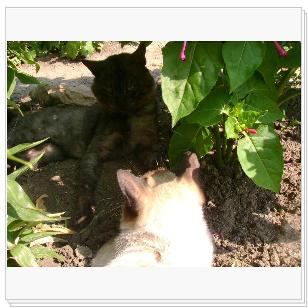 соблюдай дистанцию