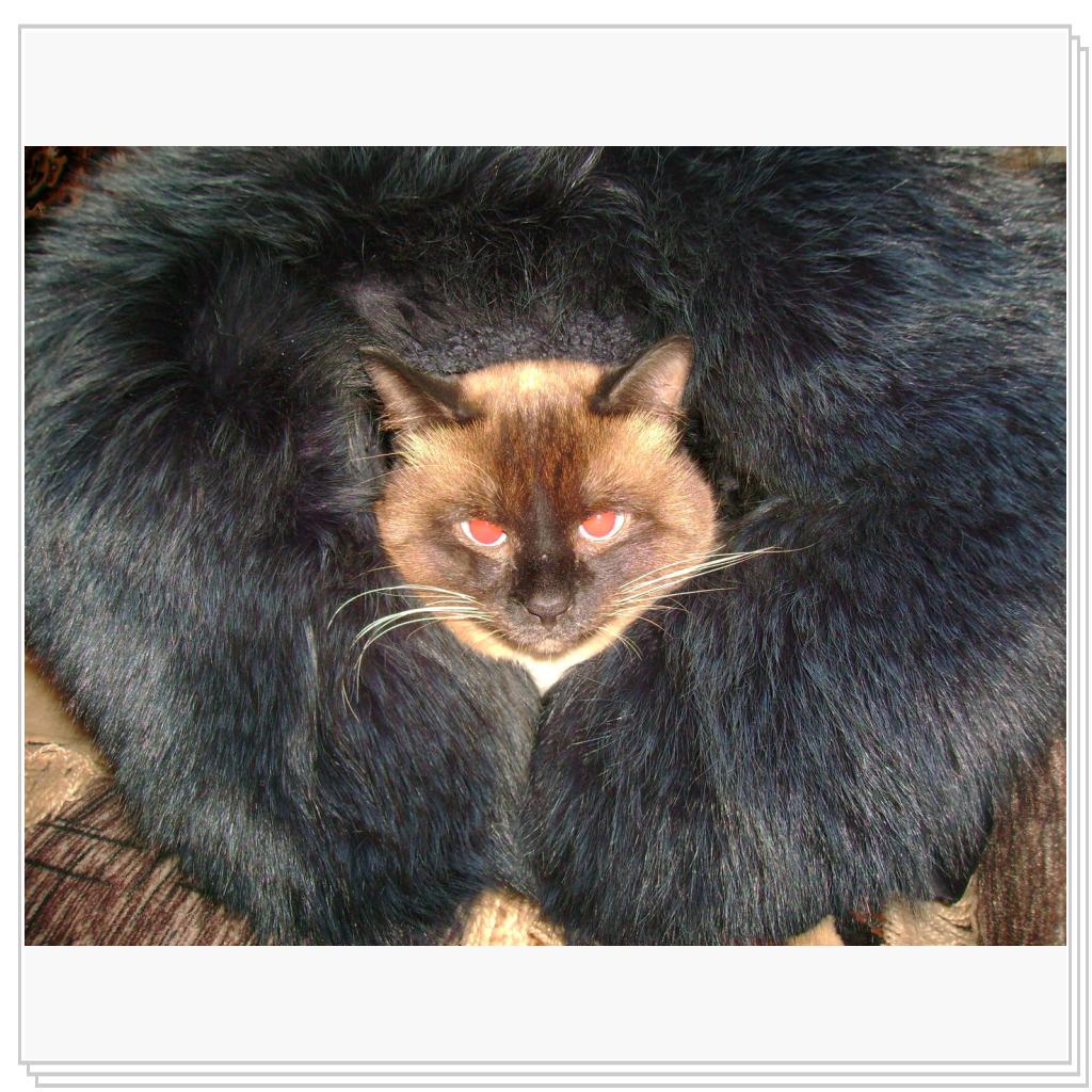 похолодало...гриву примерил...по цвету не подошла  :)))