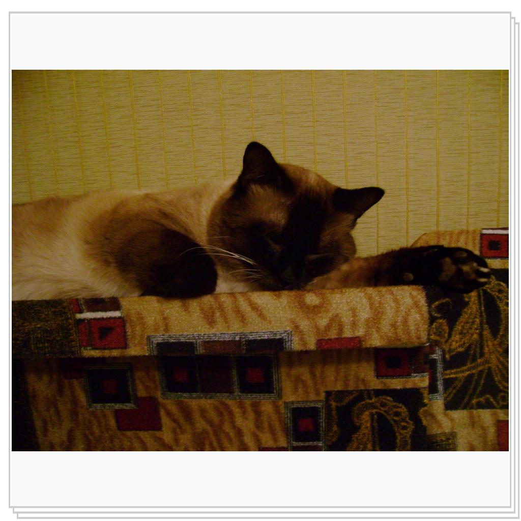 так сладко спится на диванчике хозяйки