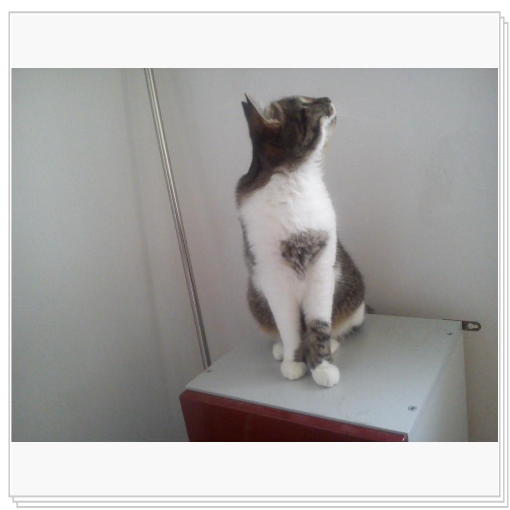 малышка Мила