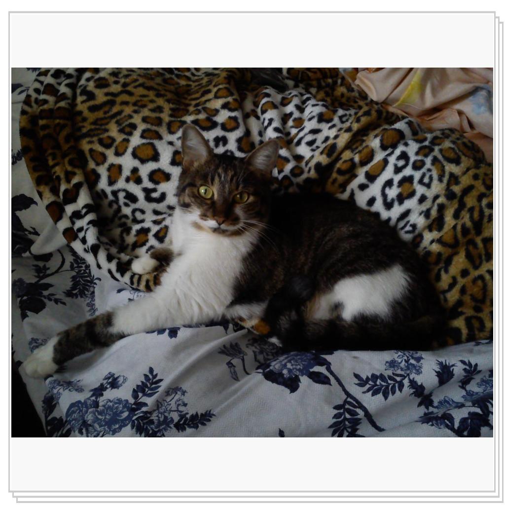 малышка Мила